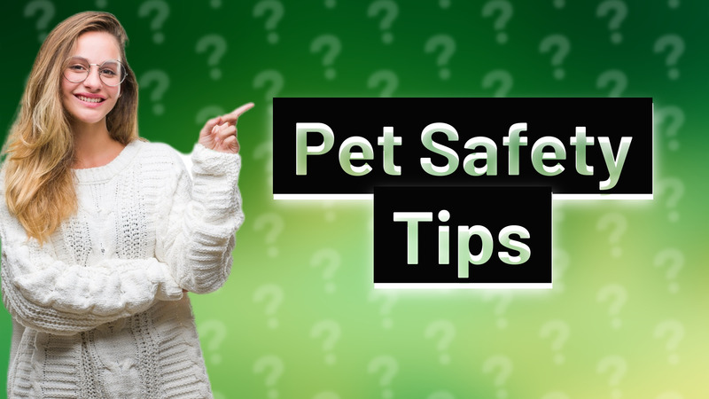 Pet Safety Tips