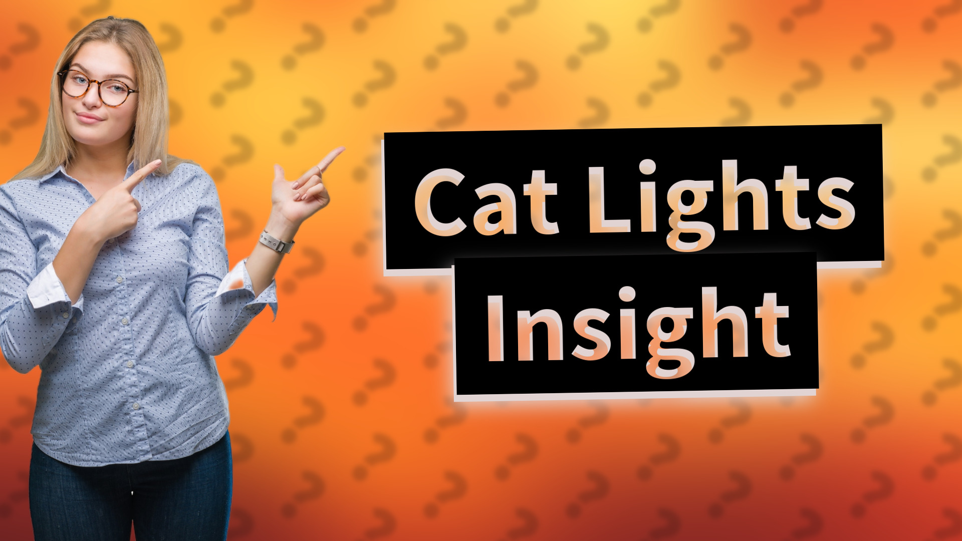 Cat Lights Insight