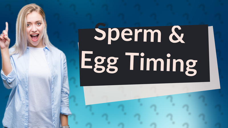 Sperm & Egg Timing