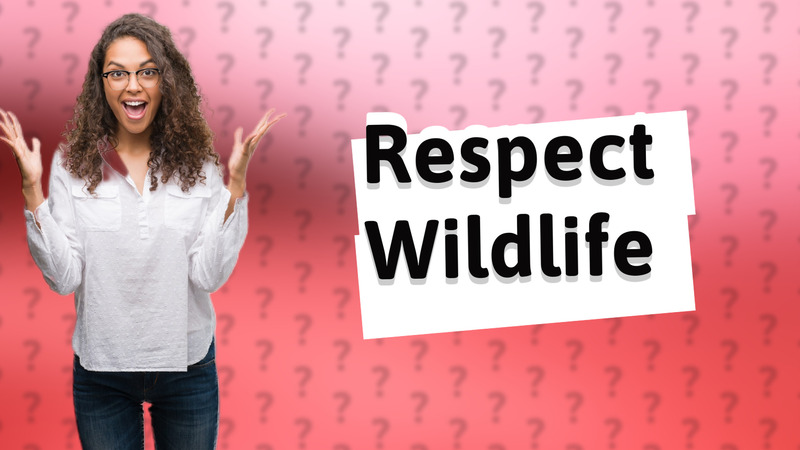 Respect Wildlife