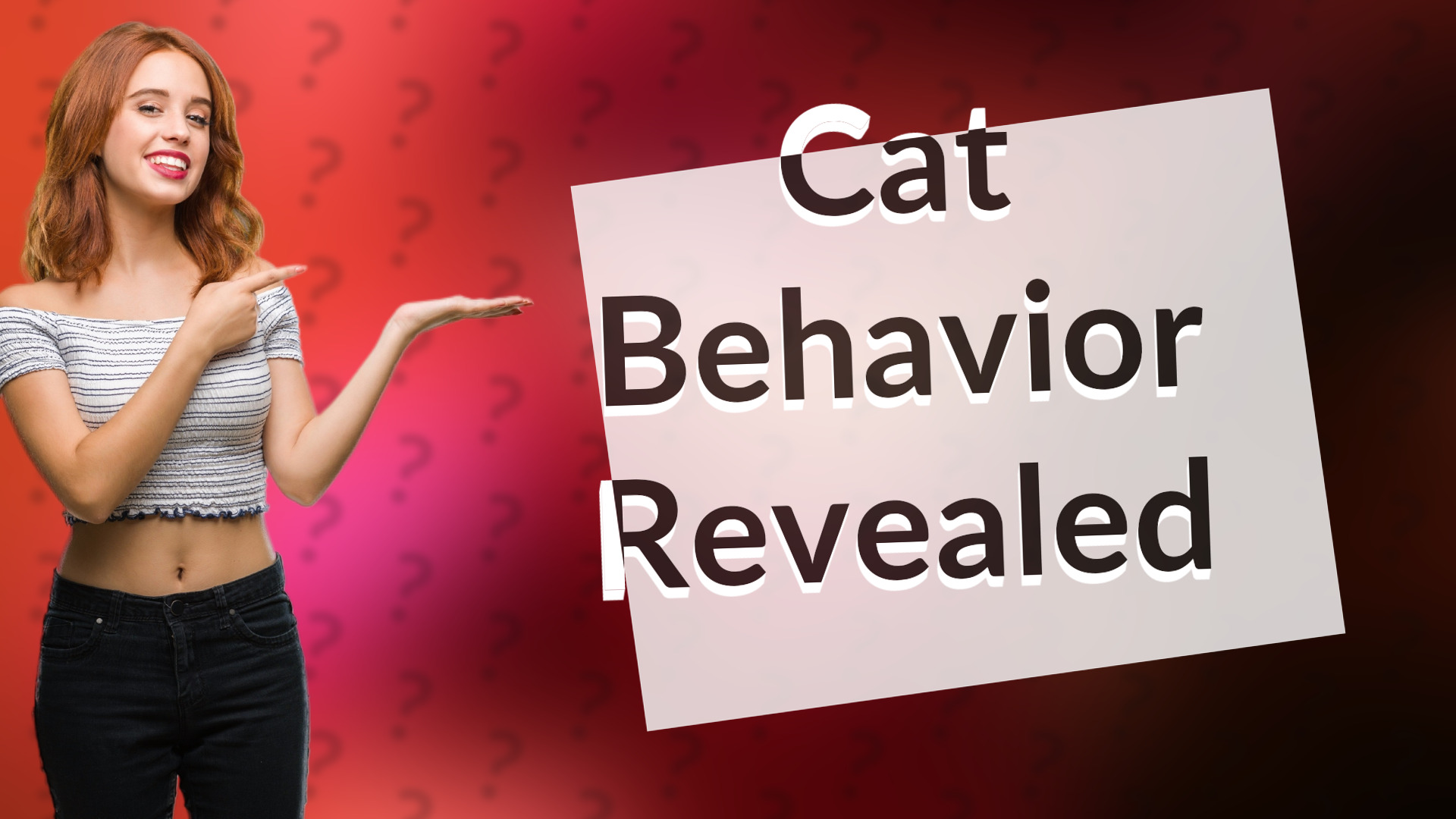 Cat Behavior Revealed