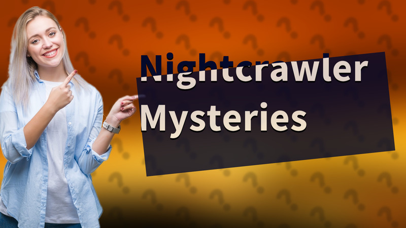 Nightcrawler Mysteries