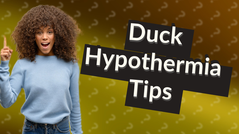 Duck Hypothermia Tips
