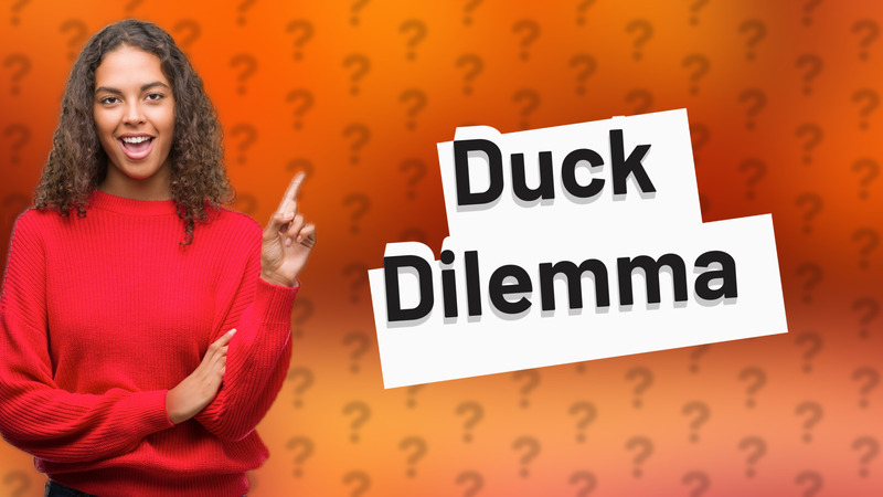 Duck Dilemma