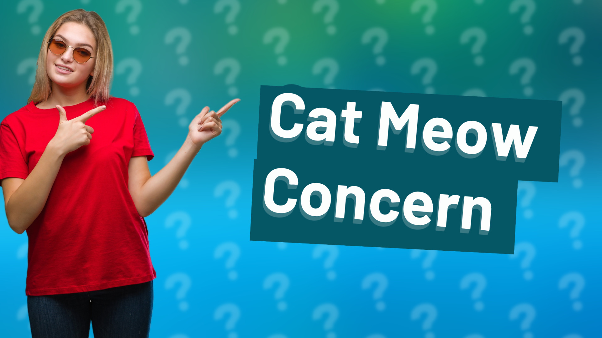 Cat Meow Concern