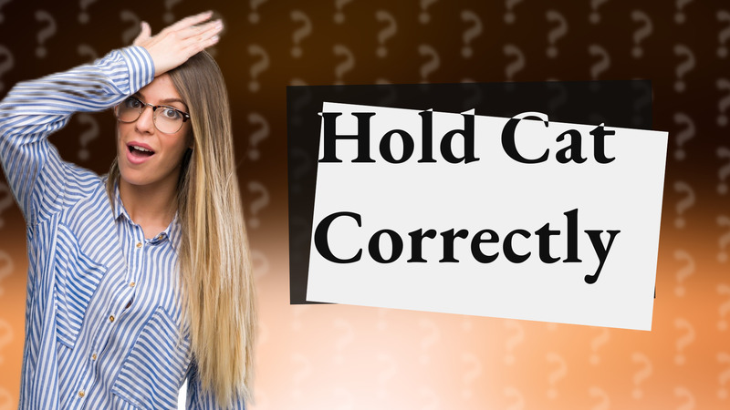 Hold Cat Correctly