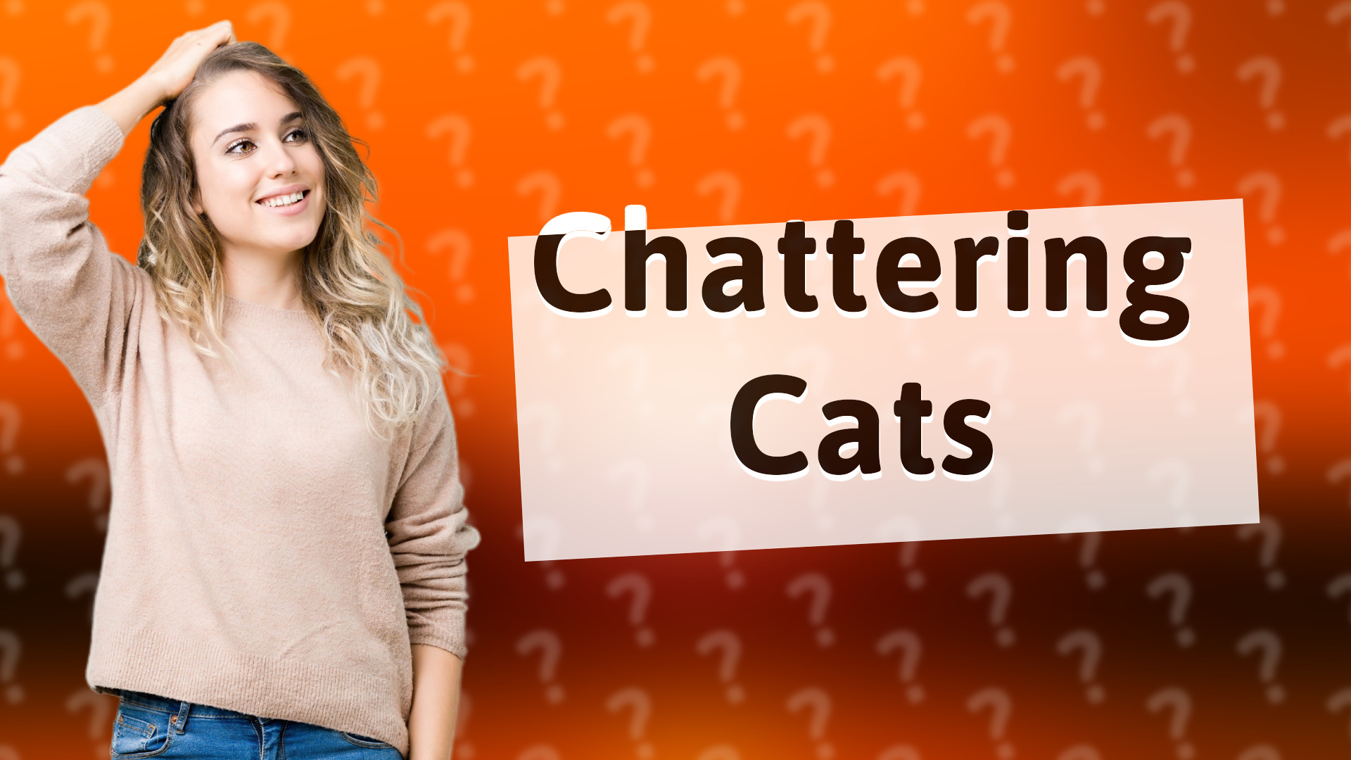 Chattering Cats