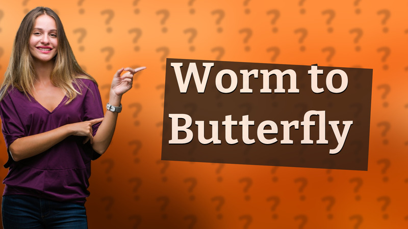 Worm to Butterfly