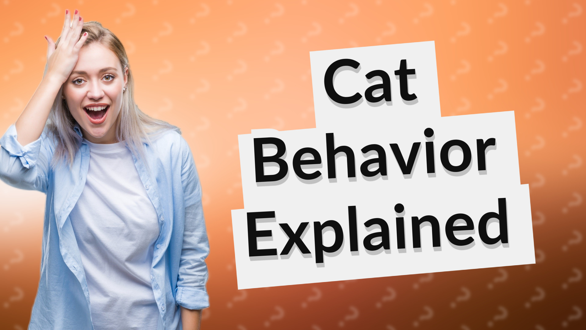 Cat Behavior Explained