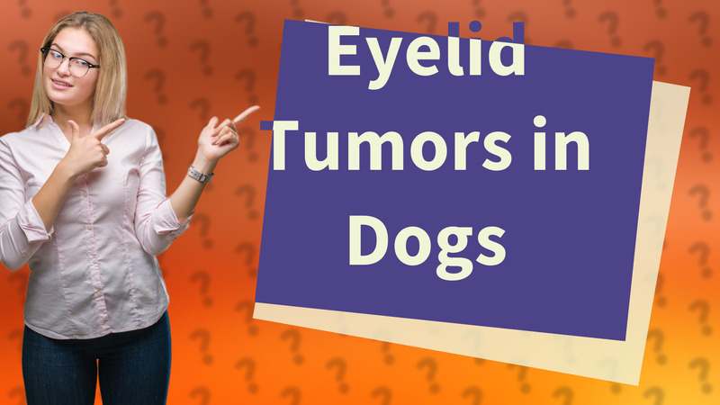 Eyelid Tumors in Dogs