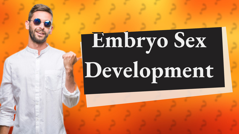 Embryo Sex Development