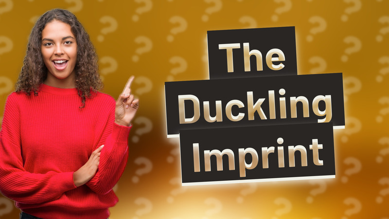 The Duckling Imprint