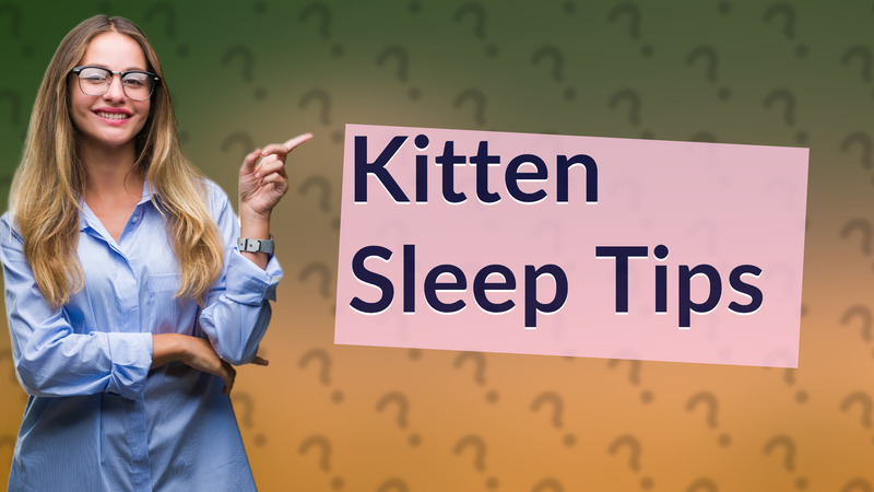 Kitten Sleep Tips