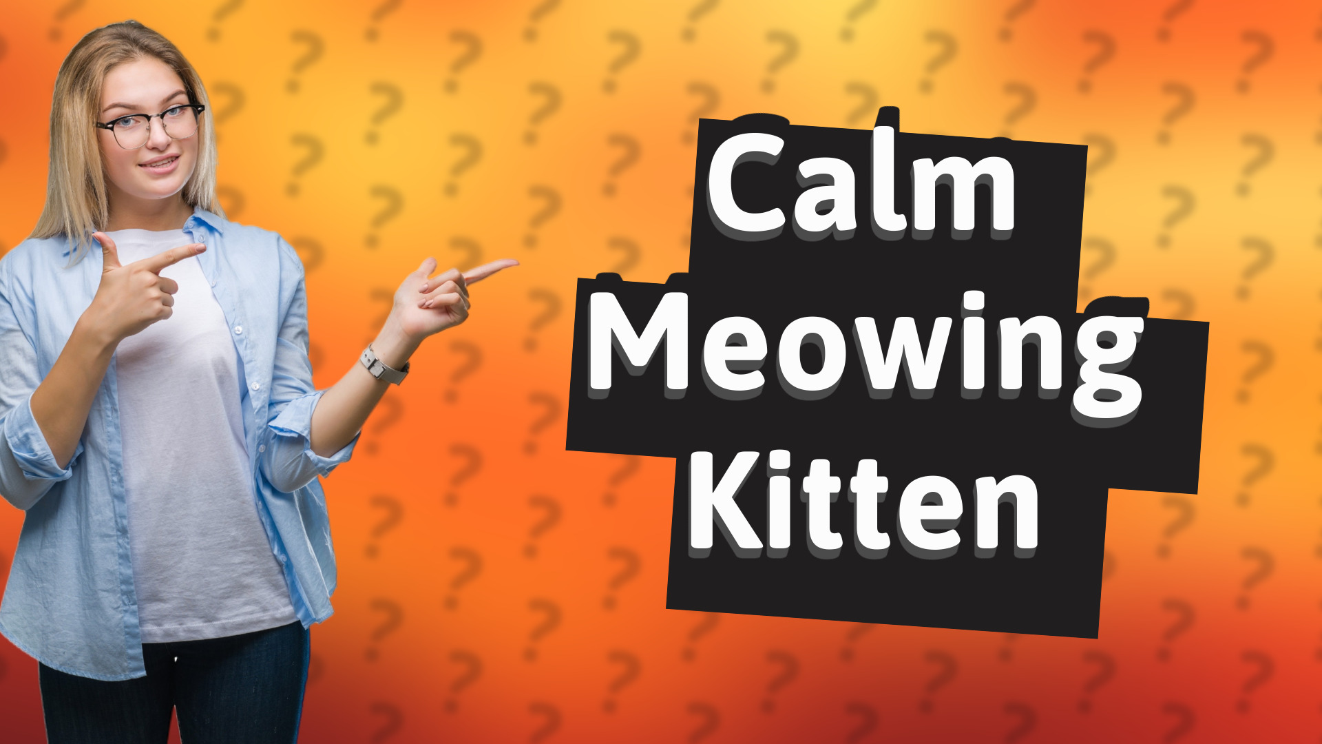 Calm Meowing Kitten