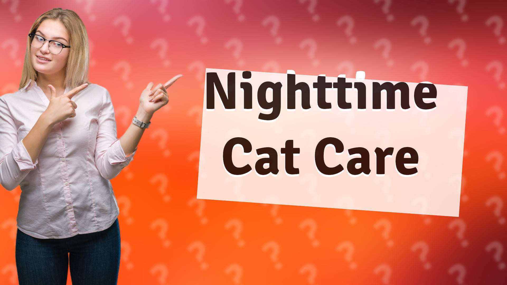 Nighttime Cat Care