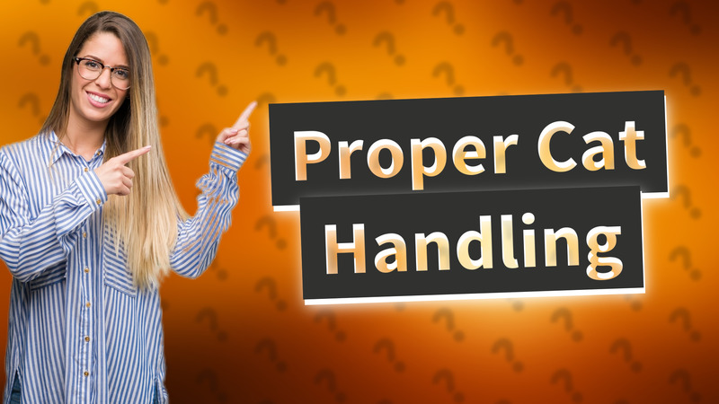 Proper Cat Handling