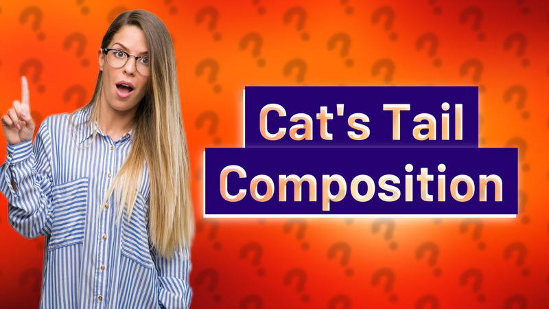 Cat's Tail Composition