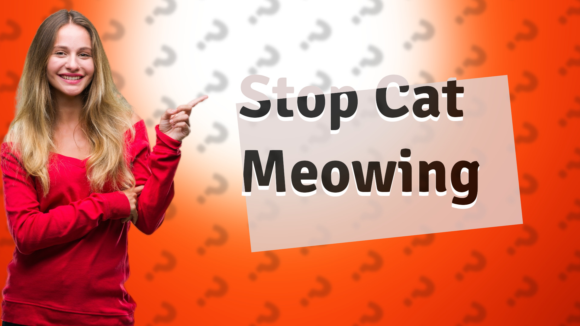 Stop Cat Meowing