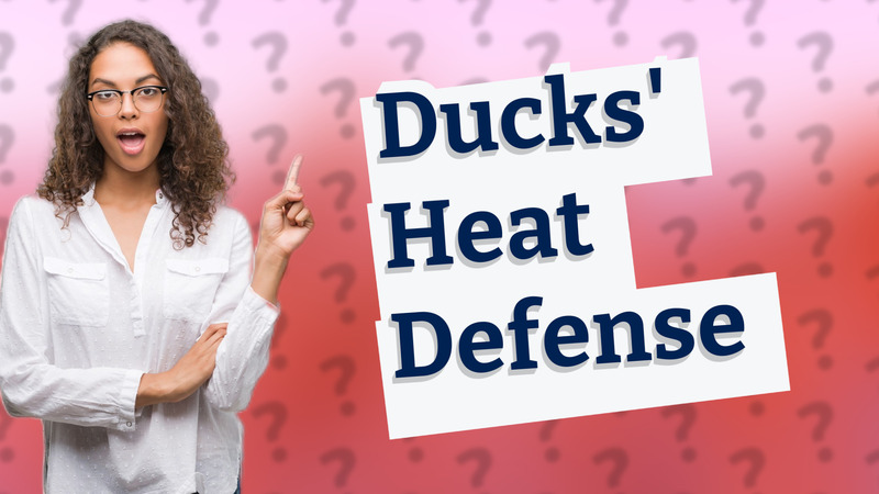 Ducks' Heat Defense