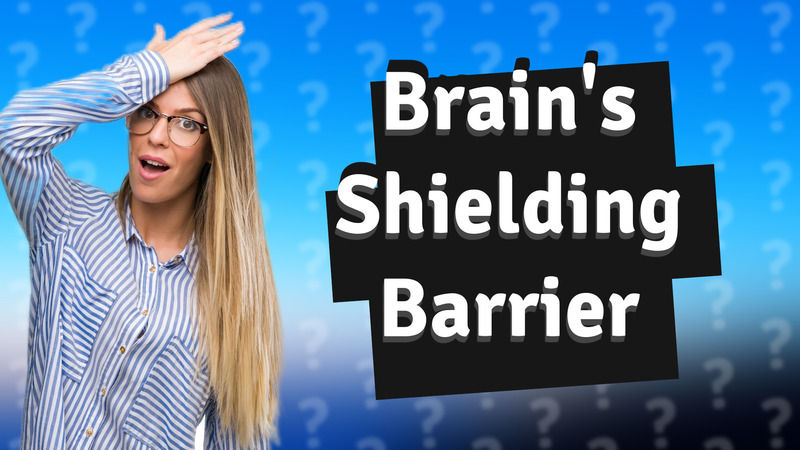 Brain's Shielding Barrier