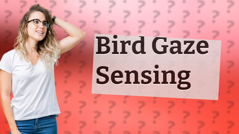 Bird Gaze Sensing