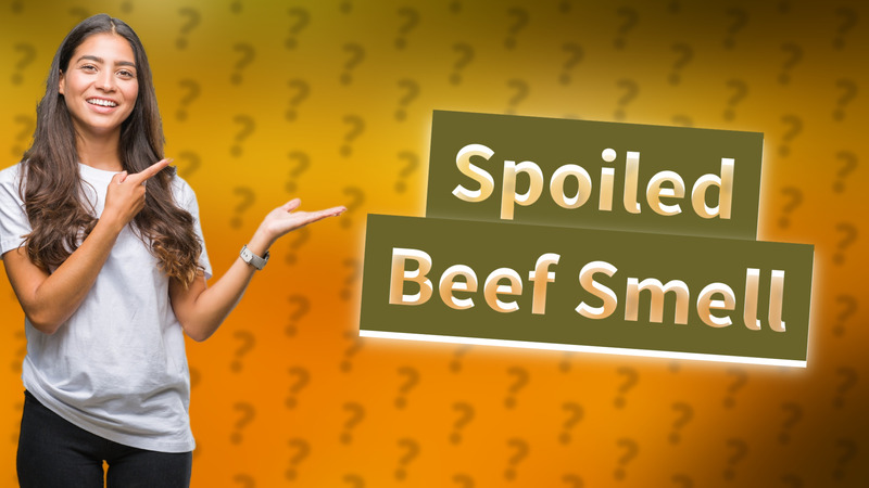 Spoiled Beef Smell
