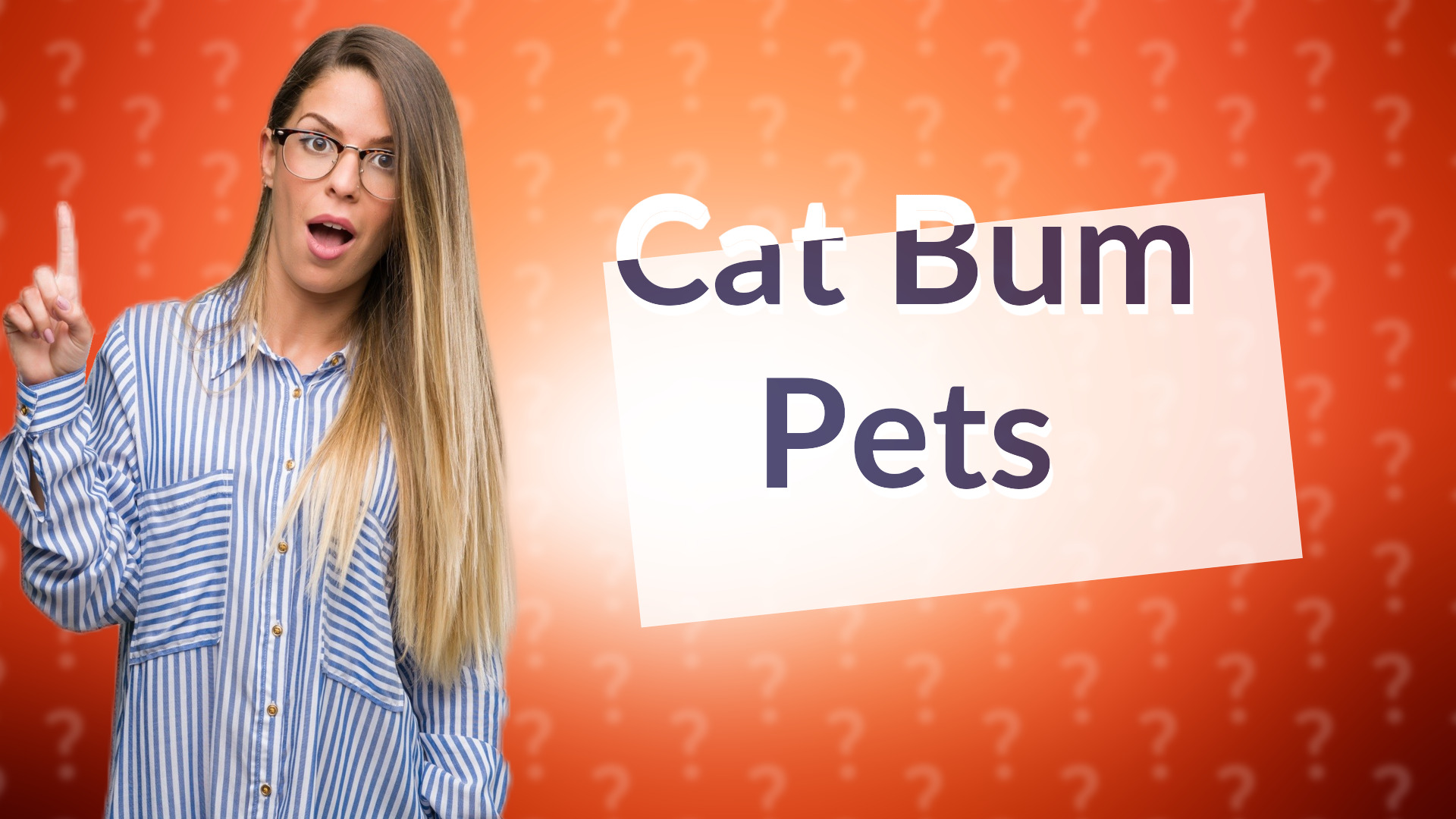 Cat Bum Pets