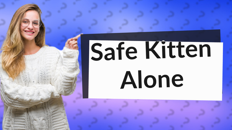 Safe Kitten Alone
