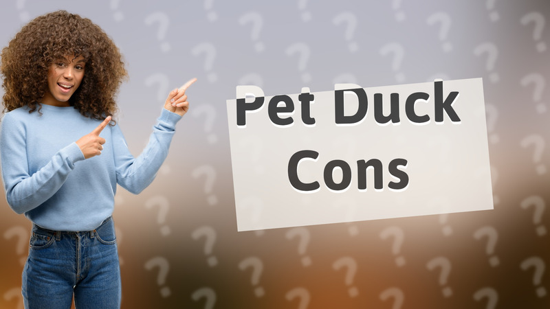 Pet Duck Cons