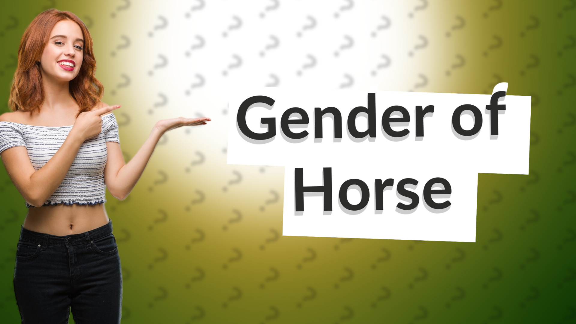 Gender of Horse