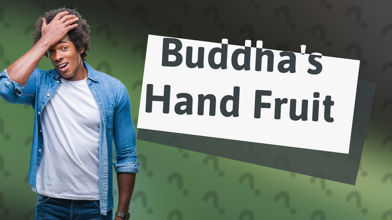 Buddha's Hand Fruit