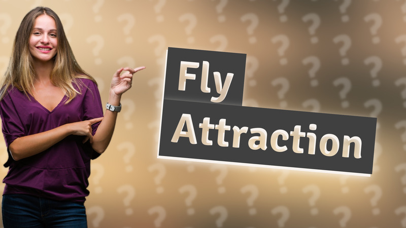 Fly Attraction
