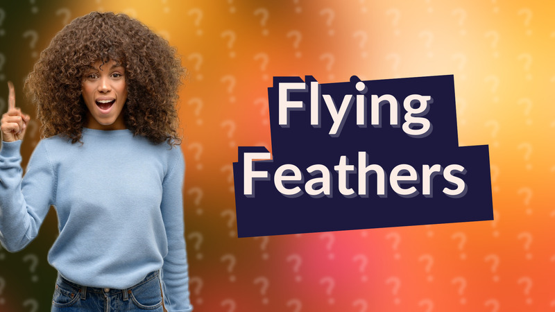 Flying Feathers