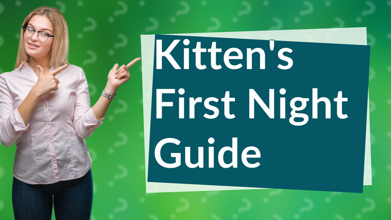 Kitten's First Night Guide