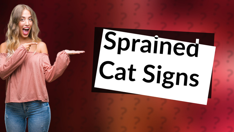 Sprained Cat Signs