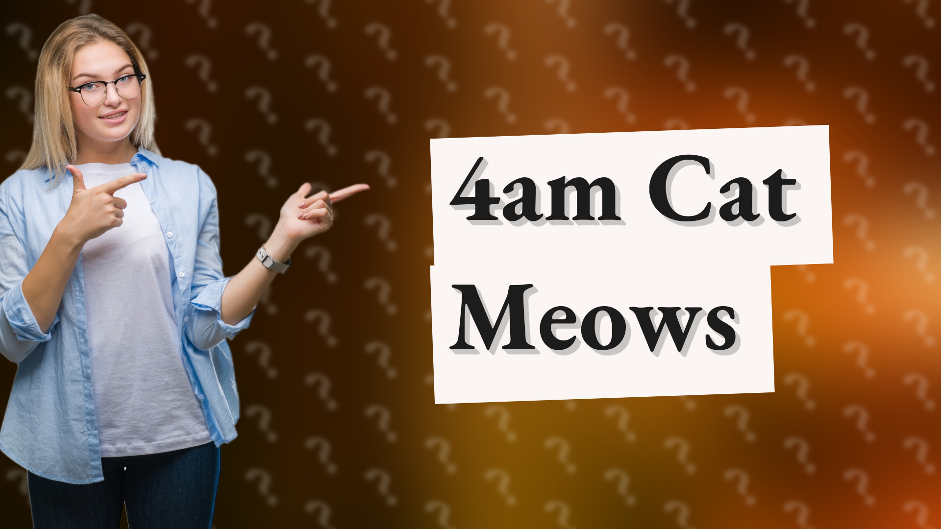 4am Cat Meows