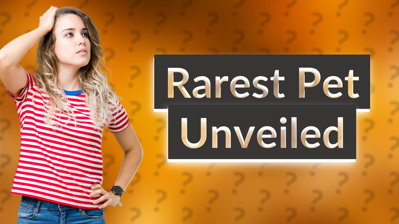 Rarest Pet Unveiled