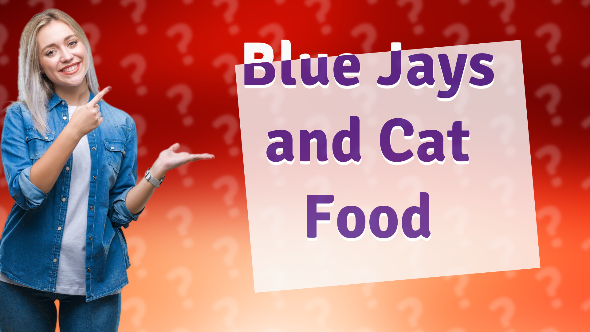 Blue Jays and Cat Food