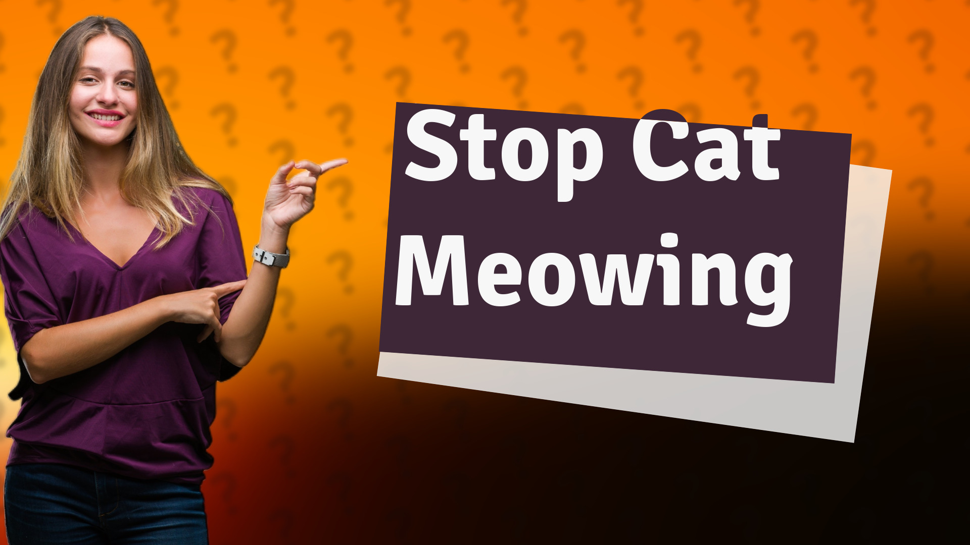 Stop Cat Meowing