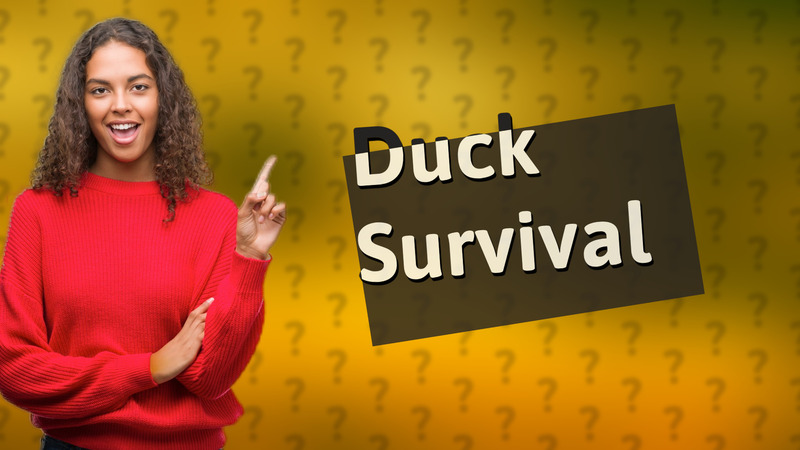 Duck Survival