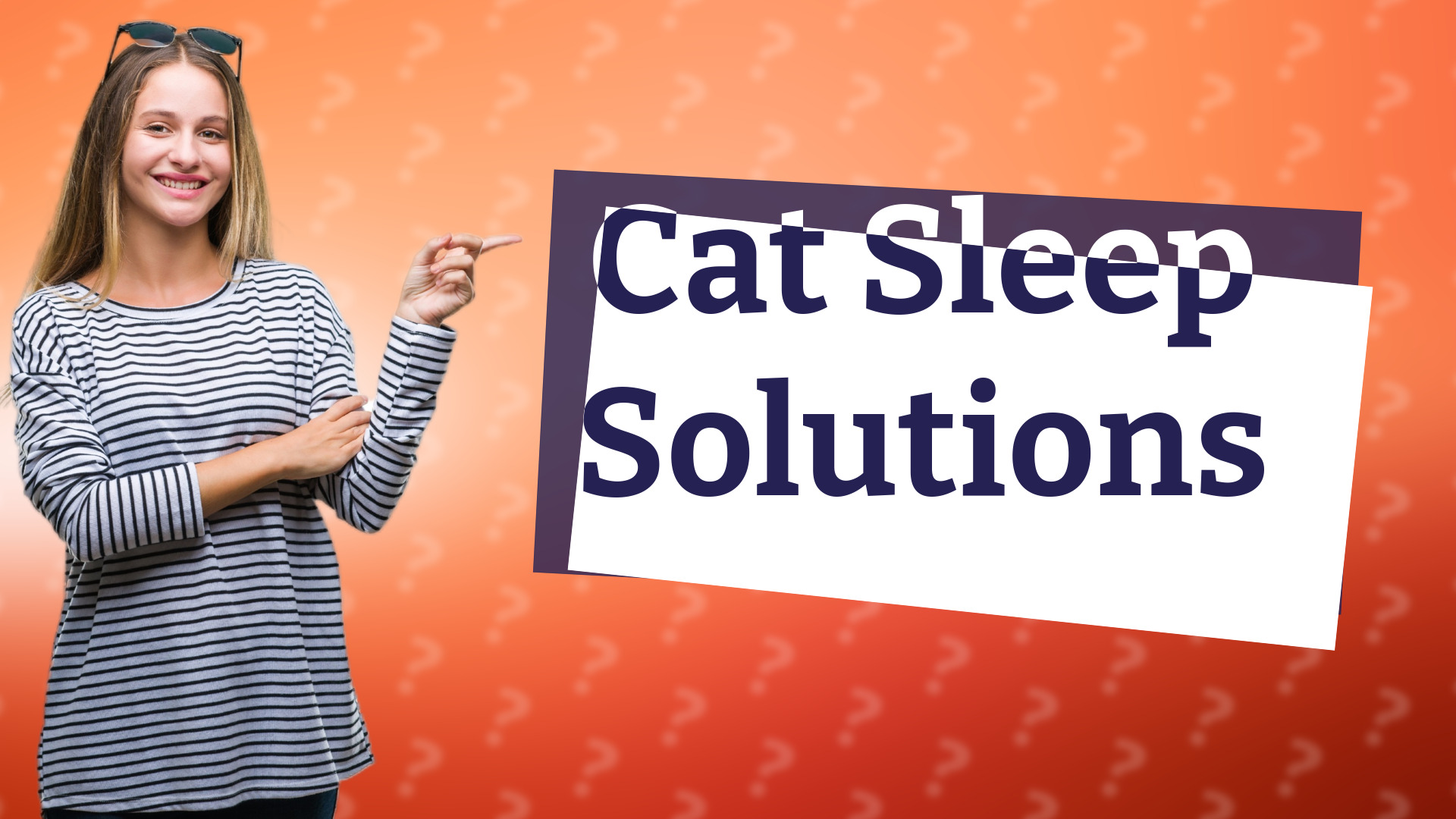 Cat Sleep Solutions