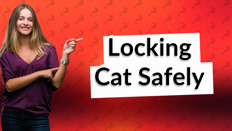 Locking Cat Safely