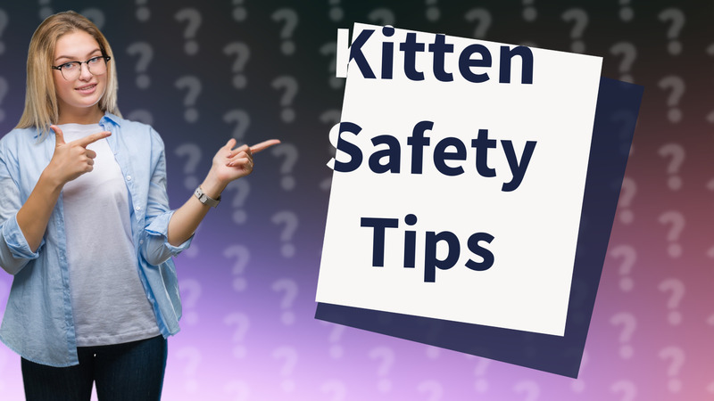 Kitten Safety Tips