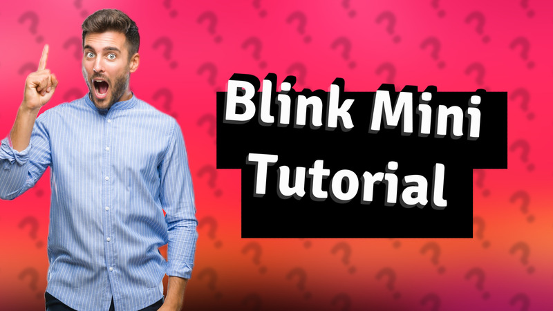 Blink Mini Tutorial