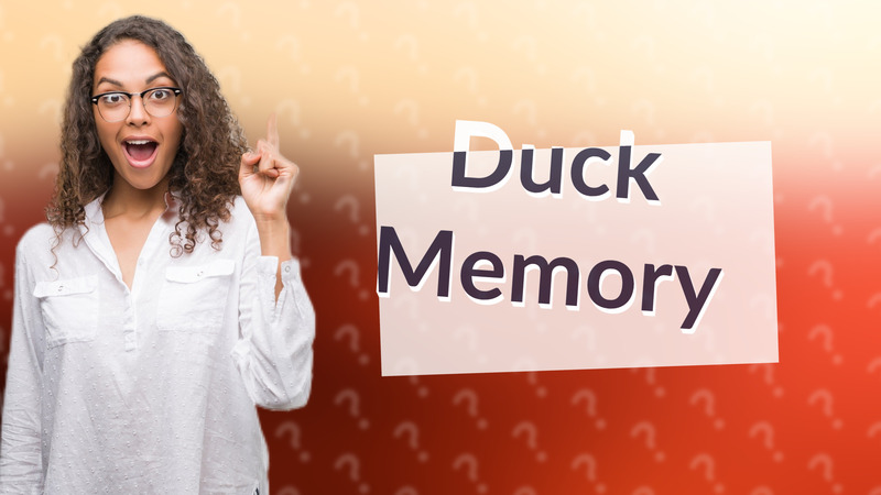 Duck Memory