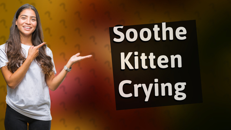 Soothe Kitten Crying