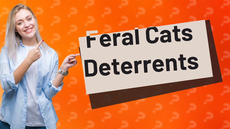Feral Cats Deterrents