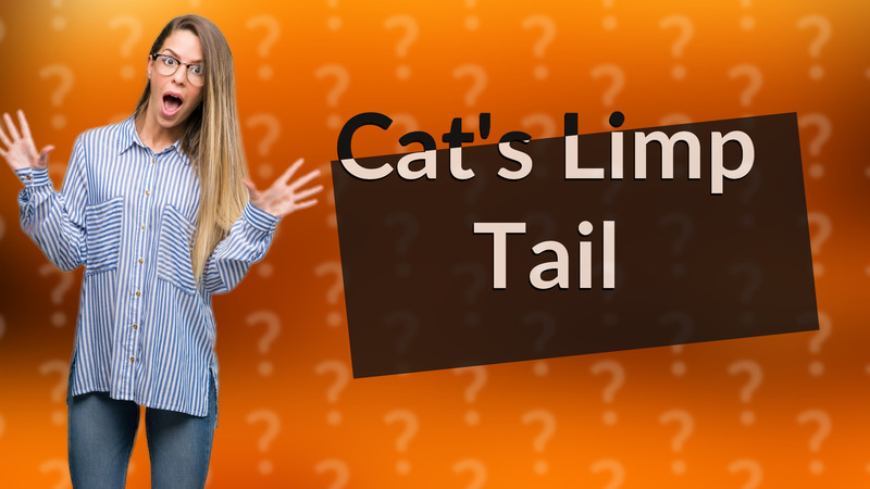 Cat's Limp Tail