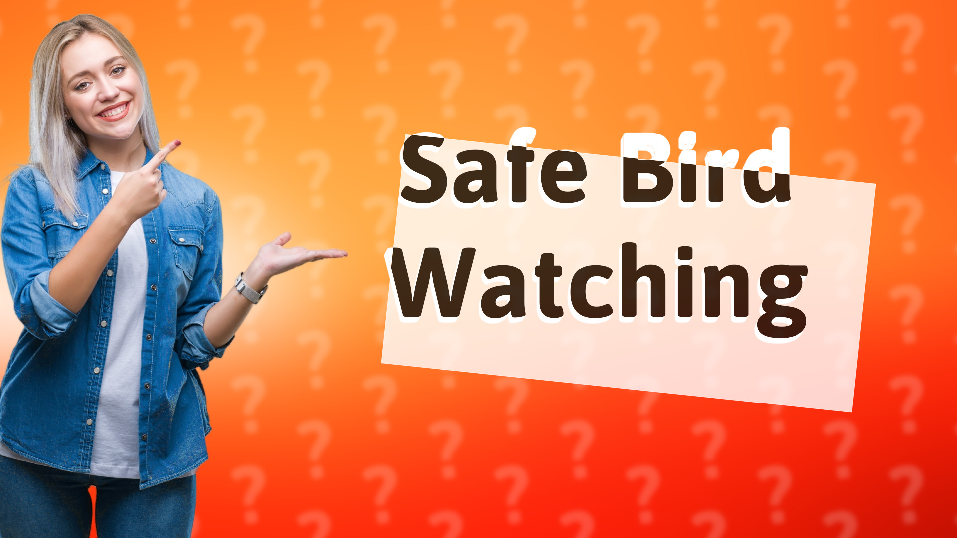 Safe Bird Watching