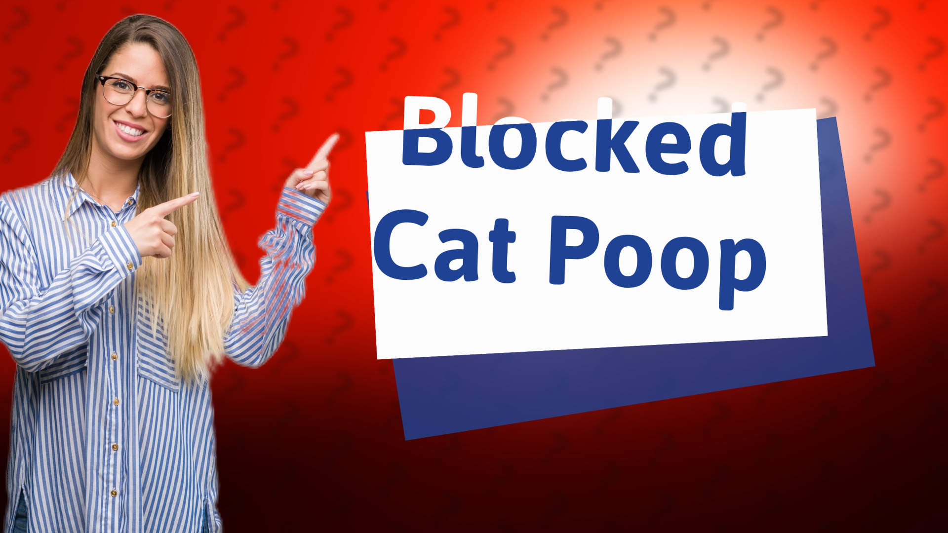 Blocked Cat Poop
